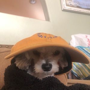 Meet your Posher, Elias